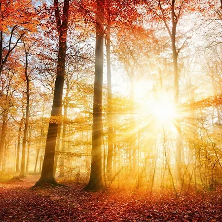 House With Private Sauna And Hottub On Park De Ijsvogel With Swimming Pools And Children Entertaiment Airco Apartment *