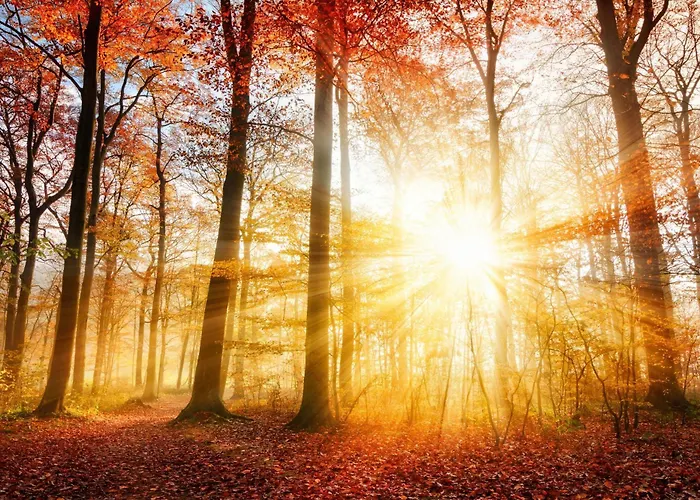 House With Private Sauna And Hottub On Park De Ijsvogel With Swimming Pools And Children Entertaiment Airco Appartement *