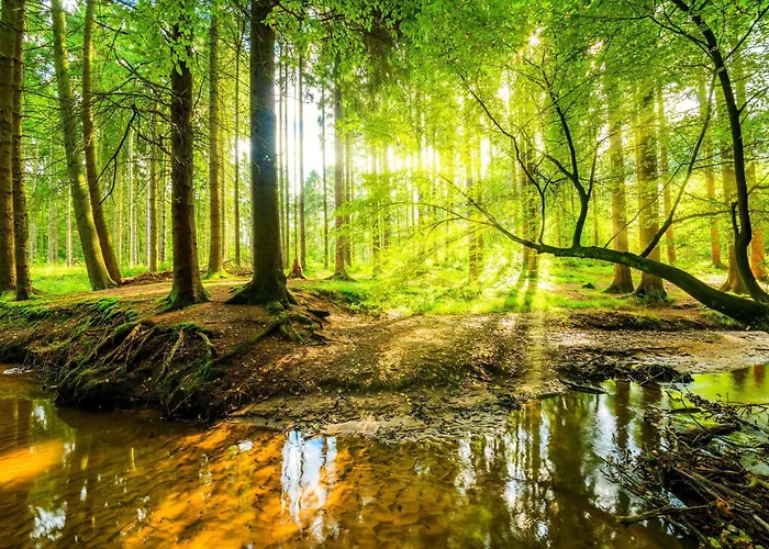 Apartman House With Private Sauna And Hottub On Park De Ijsvogel With Swimming Pools And Children Entertaiment Airco Voorthuizen